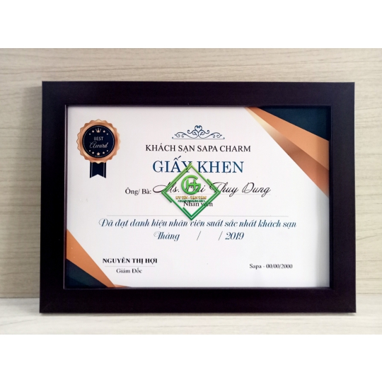 khung bằng khen mẫu 071  nâu