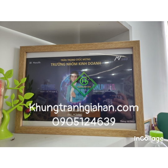 khung bằng khen mẫu 103 GỖ