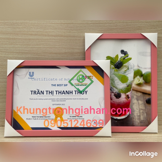 khung bằng khen mẫu 103 hồng